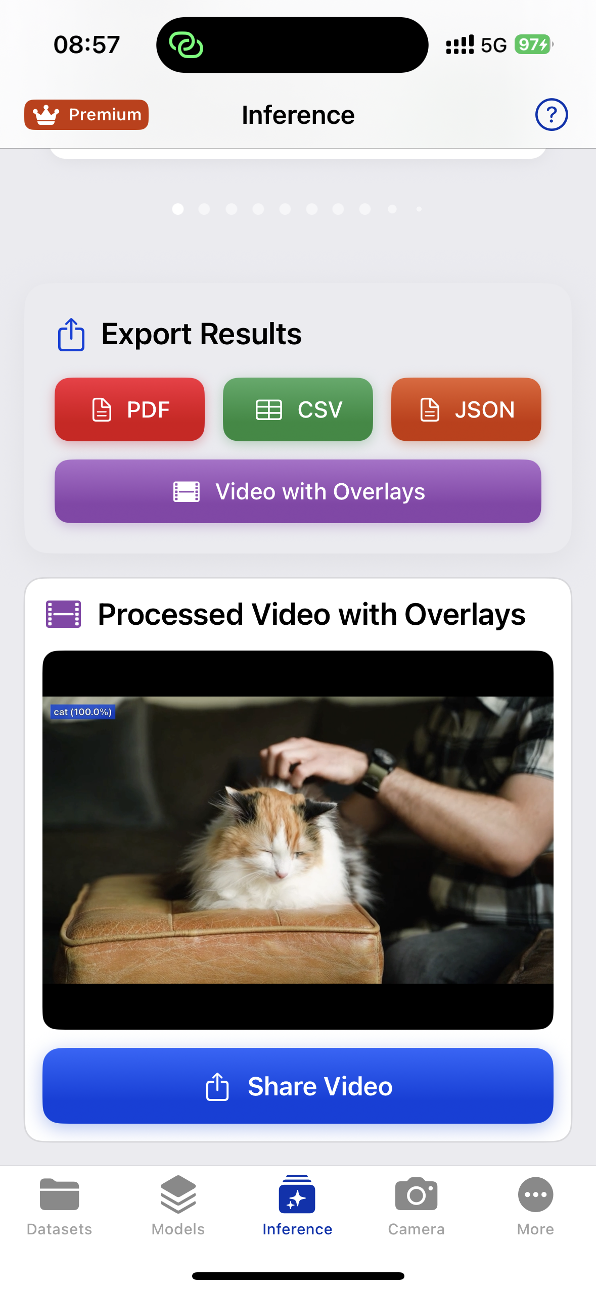 Inference results with segmentation overlays